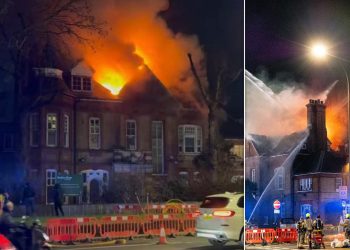 Singapore Blaze: Dozens Battle London Nursery Inferno