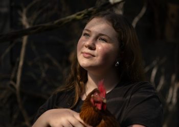 School Struggles? You’re Not Alone Down Under