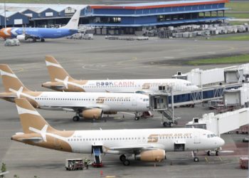 Pulang Liburan, Hutan Palsu Bandara Bikin Nelangsa