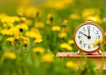 Spring Forward: Daylight Saving is Coming