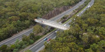 Cawleys Bridge: Wildlife Reconnected Above Motorway