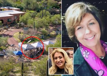 Lawmaker Slams “Internet Sleuths” for Home Swarming