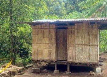 Kemiskinan Nenek Wilhelmina: Bukti Keraguan Data BPS