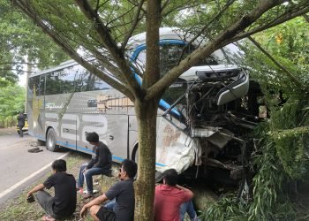 Bus Transjakarta Adu Banteng Akibat Sopir Mengantuk