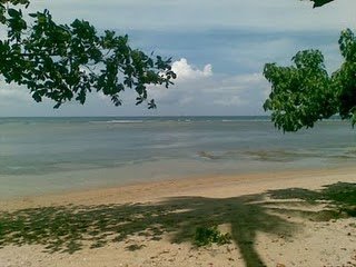Buaya Pantai Tinggian: 3 Fakta Penangkapannya oleh Nelayan