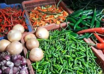 Ramadhan 2026: Bawang & Cabai Meroket di Kramat Jati