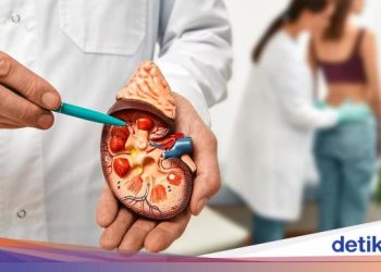 8 Kebiasaan Sehari-hari Perusak Ginjal Tanpa Sadar