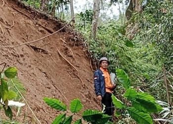 Robohnya Saluran Irigasi Lubuk Genting I: Puluhan Hektare Sawah Terancam Kering