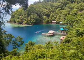 Buaya Pantai Tinggian: 3 Fakta Penangkapan Nelayan