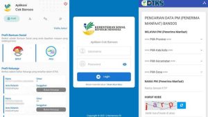 panduan-cek-nik-ktp-online-untuk-mengetahui-status-penerima-bansos_169.png