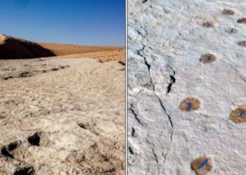 Manusia Misterius Sulawesi: Jejak Pertemuan dengan Homo Sapiens