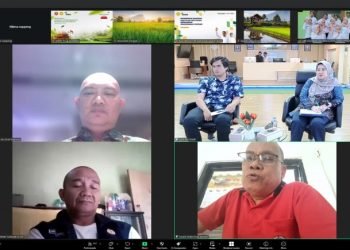 Petani Jaga Pasokan: Kunci Stabilitas Harga Puasa & Lebaran