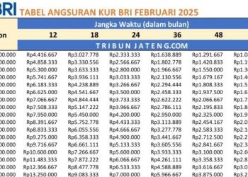 Dana Desa Simeulue 2026: 12 Desa Lampaui Rp 400 Juta