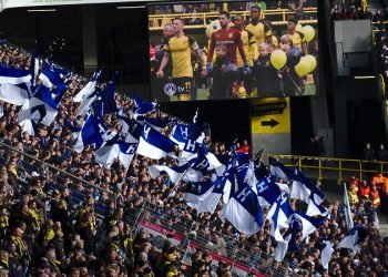 German Fan Pulls Plug on VAR in Bundesliga Protest