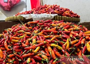 Harga Pangan Kotamobagu: Sapi & Bawang Meroket, Cabai Anjlok