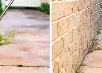 4 Proven Methods to Eliminate Onion Weed – A Horticulturist’s Top Tips