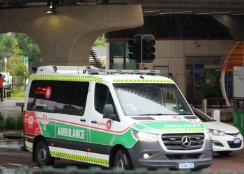 Dog Attack: Girl Critically Injured