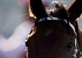 Cowra Monday: Your Winning Race Guide