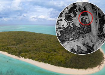 Island Terror Vanquished: 18-Month Helicopter Blitz Reshapes Aussie Wildlife