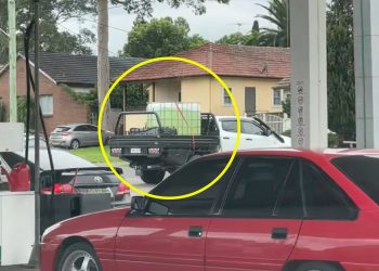 Petrol Station ‘Farce’ Amid Supply Crisis