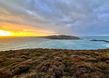 Tasmania’s Isles: Untamed Beaches, Wild Encounters