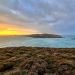 Tasmania’s Isles: Untamed Beaches, Wild Encounters