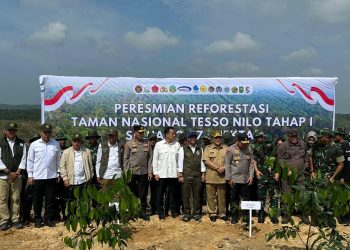 Reforestasi Tesso Nilo Dimulai Pemerintah