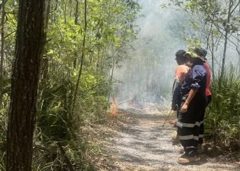 Yuwibara Country Rekindles Ancient Fire