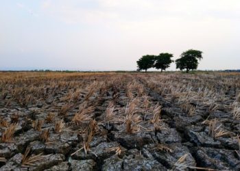 Super El Nino: Rekor Suhu Global Terancam Pecah