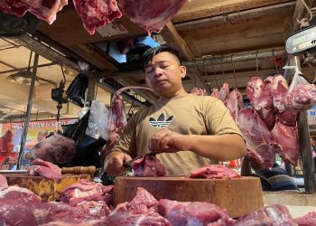 Wamentan: Harga Pangan Naik Jelang Lebaran 2026
