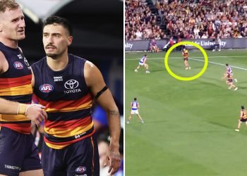 AFL in uproar as Crows star faces injury setback