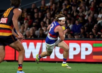 Dog delight: Beveridge hails key talls after Adelaide shocker