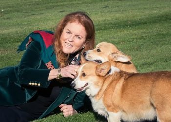 Fergie’s Corgi Clone Reality Show Revelation