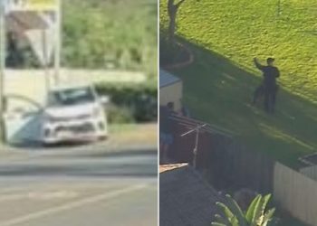 Shirtless Suspect Rams Police Car: Urgent Manhunt