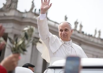 Pope Leo XIV: War’s prayers unheard this Palm Sunday