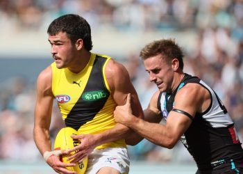 Tigers Lose Pair of Cubs