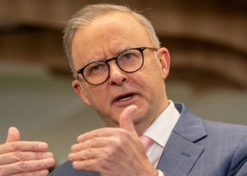Albanese: Fuel crisis? I showed up.