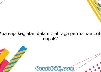 Panduan Lengkap Bermain Bola Net untuk Pemula dan Pemain Lanjutan