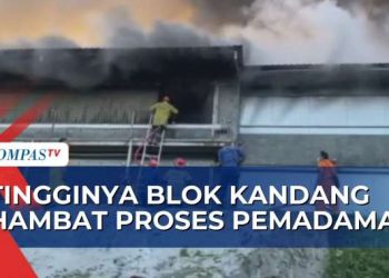 Depok Cirebon: Ruko Ludes Terbakar, Asap Tebal Sejak Senja