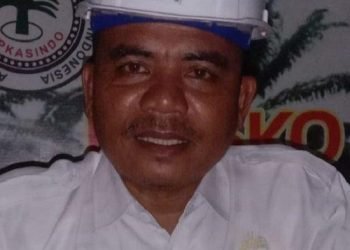 Apkasindo Aceh: Cangkang Sawit Wajib Masuk Harga TBS