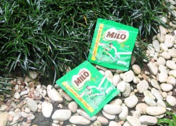 Cuan Beku: Usaha Makanan Si Kecil