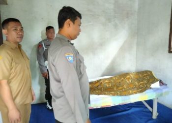 Penderes Kelapa Tewas Jatuh dari Ketinggian 16 Meter