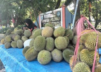 Parsel Lebaran IRT Polman: Cantik Mulai Rp 100 Ribu, Laris Manis!