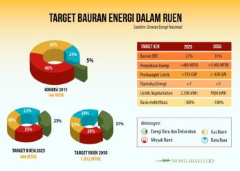 Target Energi KEN: Cemerlang di Kertas, Mampukah di Lapangan?