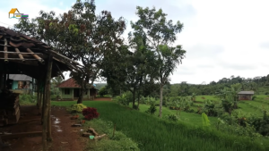 20230402120823-1-cara-warga-kampung-cibihul-sukabumi-buka-bersama-pakai-es-kelapa-bikin-rindu-pulang-003-nurul-diva-kautsar.png