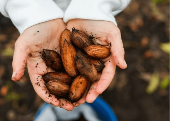Central Coast Harvest Market