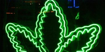 Medicinal Cannabis & Driving: Know the Risks