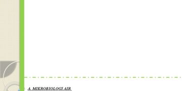 Jadi Perhatian Publik, Ini Fakta Sebenarnya yang Harus Anda Ketahui