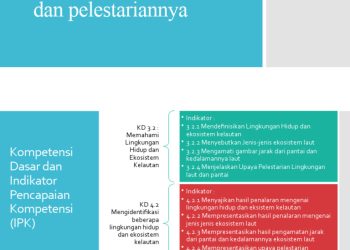 Pentingnya Perlindungan Lingkungan dan Kelautan untuk Masa Depan Bumi