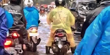 Banjir Pergoyang Kabupaten Bandung, Ahli Kritik Kegagalan Pengelolaan, Minta Bentuk Lembaga Khusus DAS Citarum
